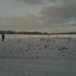 photo11