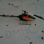 photo3