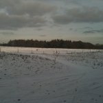 photo6