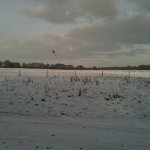 photo7