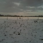 photo8